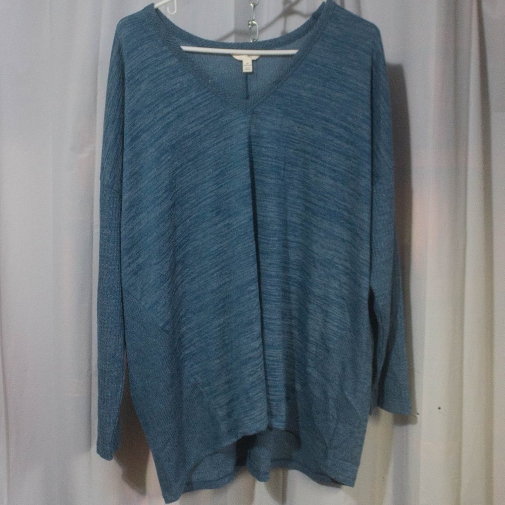 Terra & Sky Women's Top Long Sleeve Relaxed Fit Plus Size 2X 20W-22W Stretch